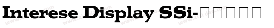 Interese Display SSi字体转换